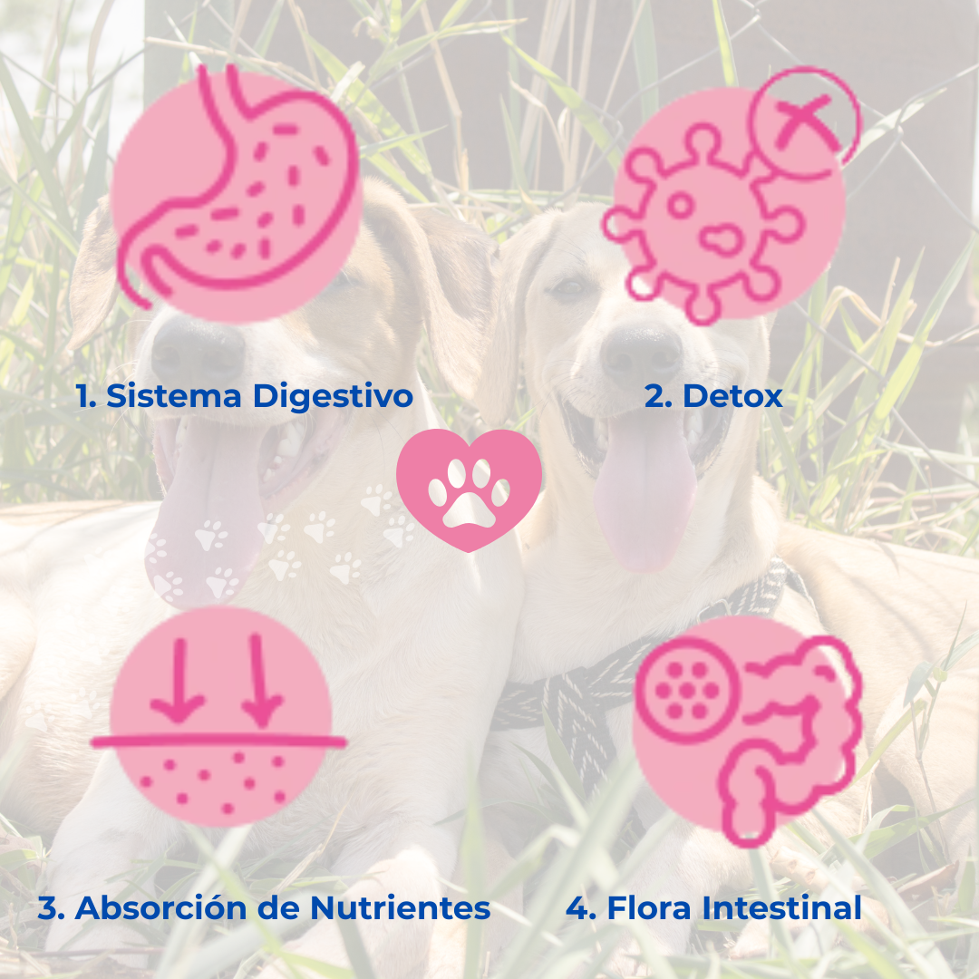 Probióticos para Perros - Gastro Aid