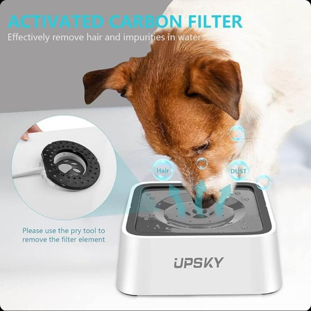 Els™: Higiene y Comodidad en Cada Sorbo para tu Mascota