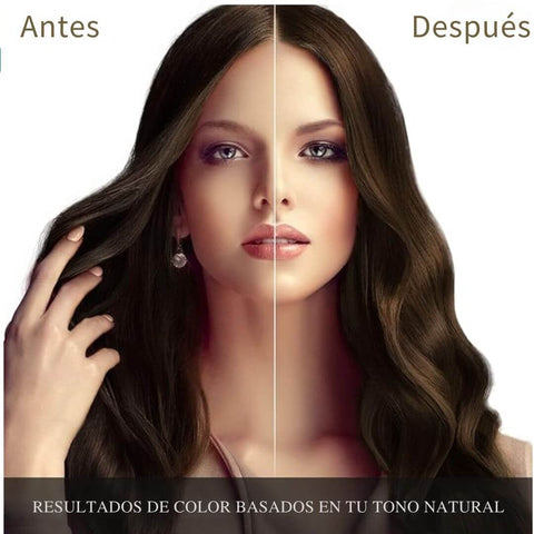 Shampoo Tapa Canas Original Negro