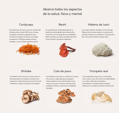 ZenFuel™ – Energía limpia todo el día, sin ansiedad.